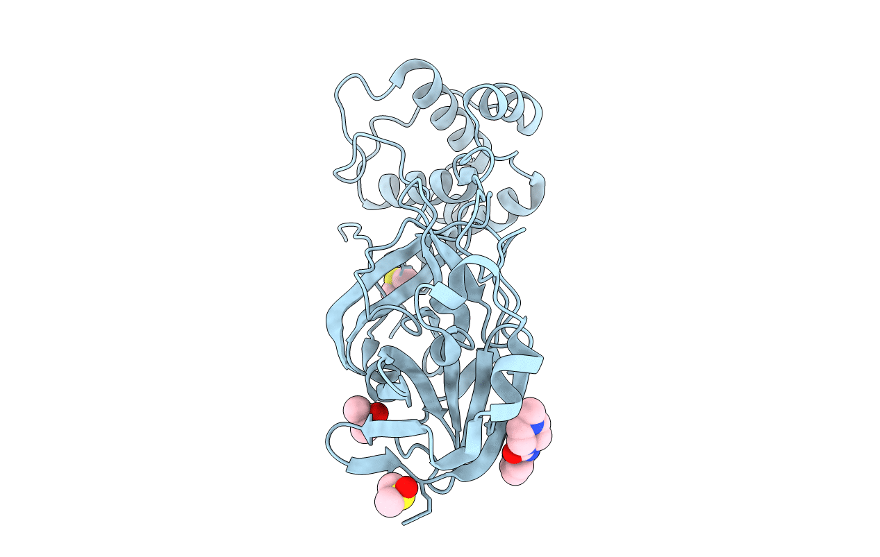 5RGG image