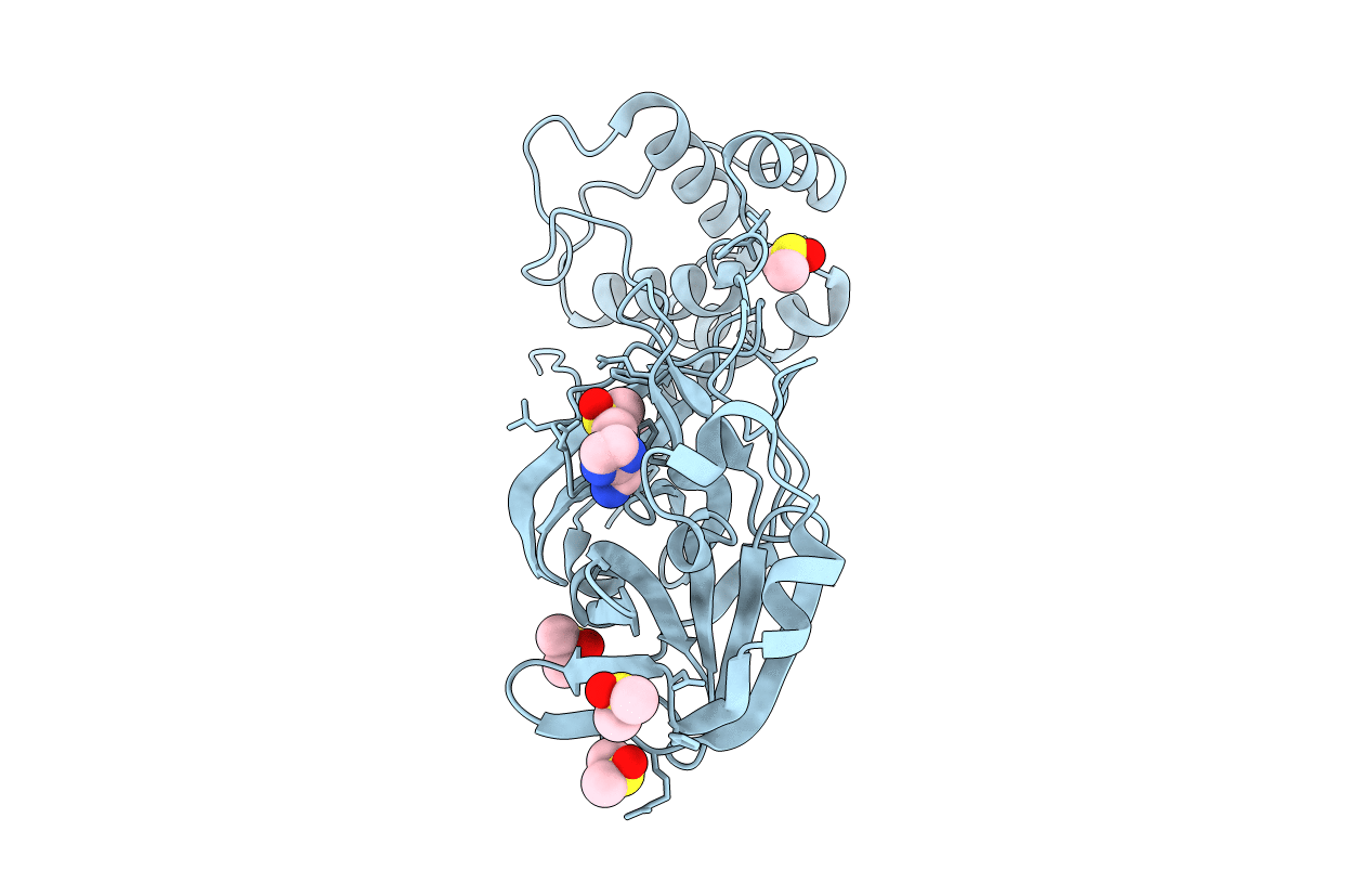 5RHC image