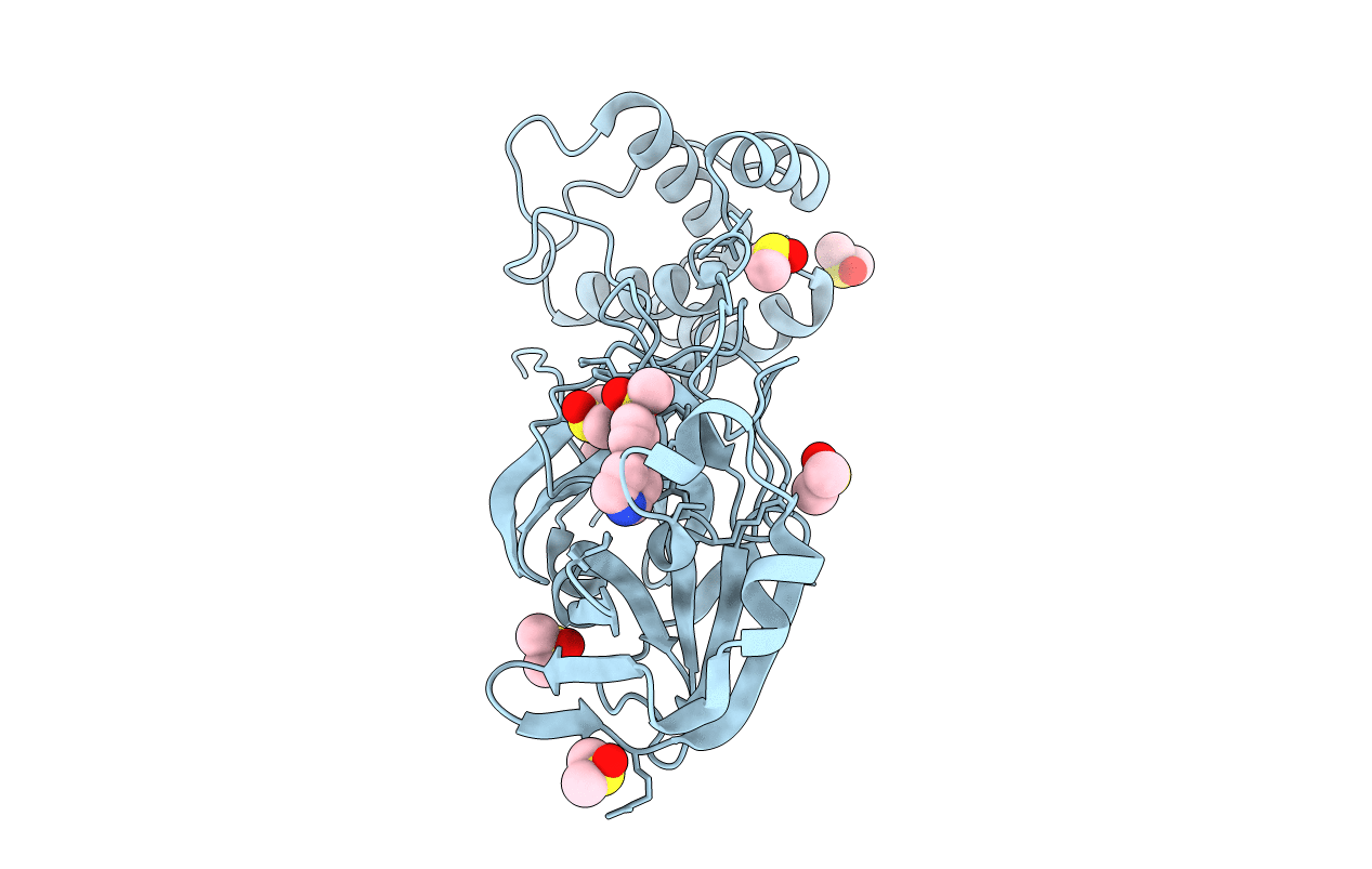 5RHD image