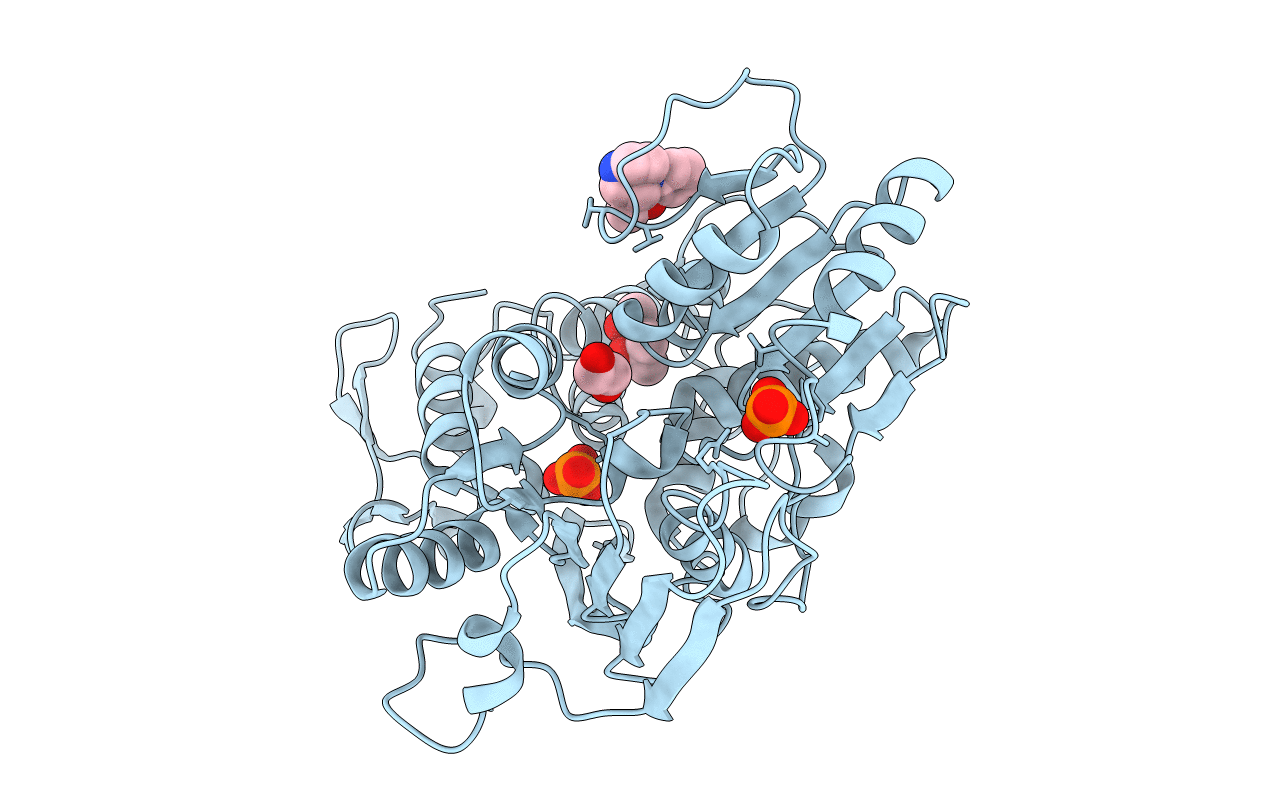 5RHL image