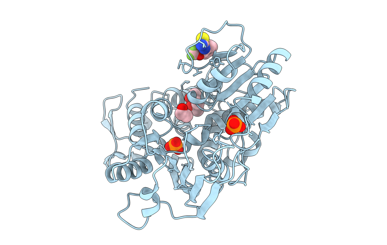5RHT image