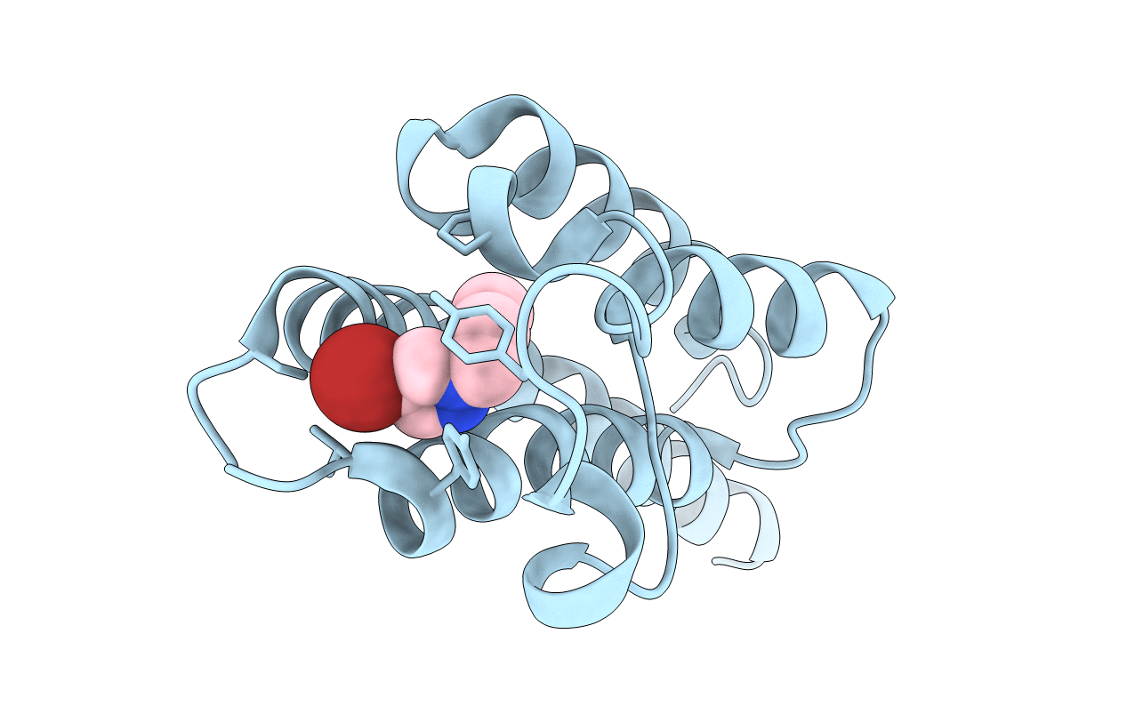 5RJN image