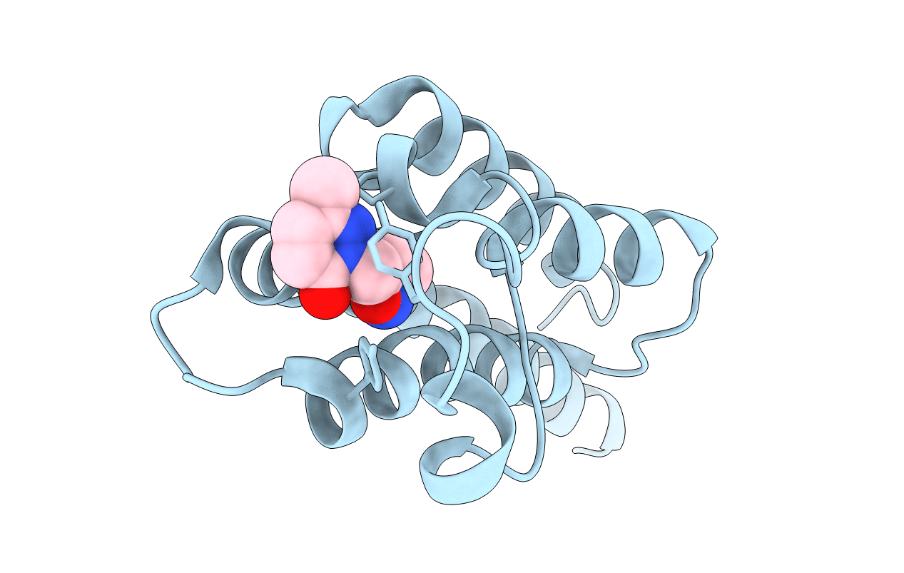 5RKP image