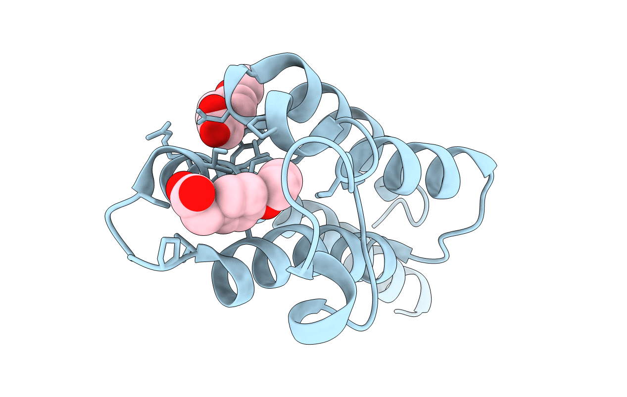 5RKV image