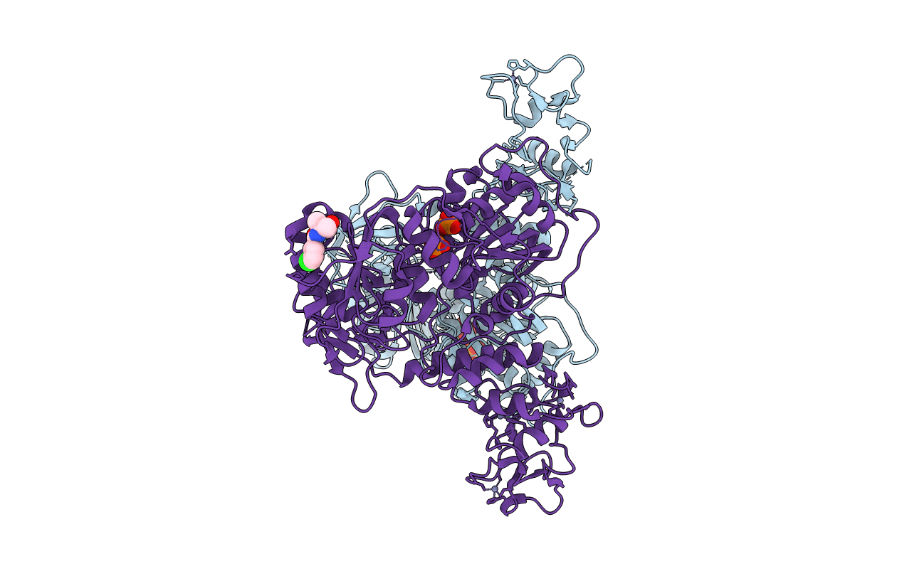 5RMJ image