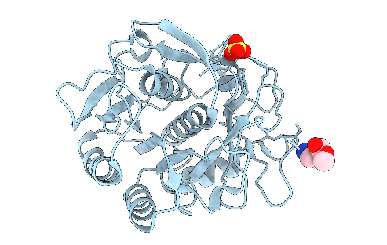 5RPL image