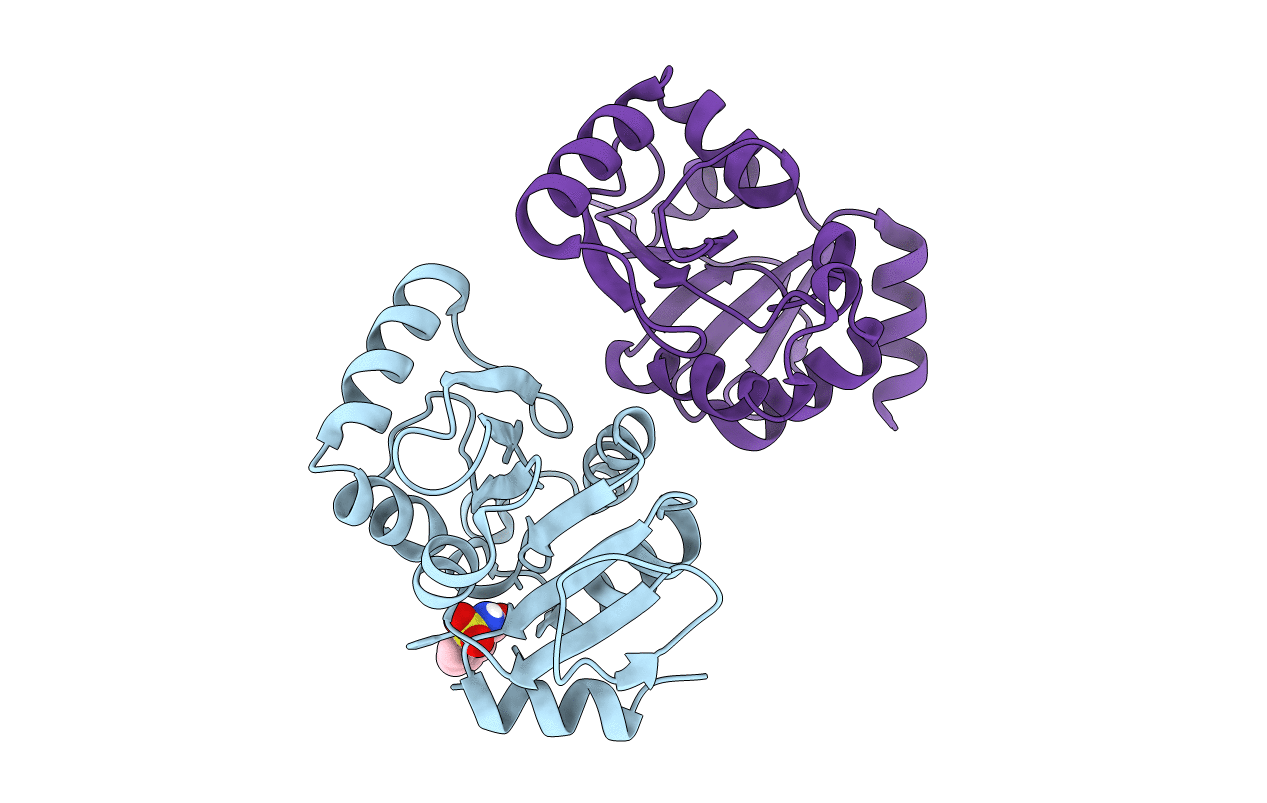 5RSP image