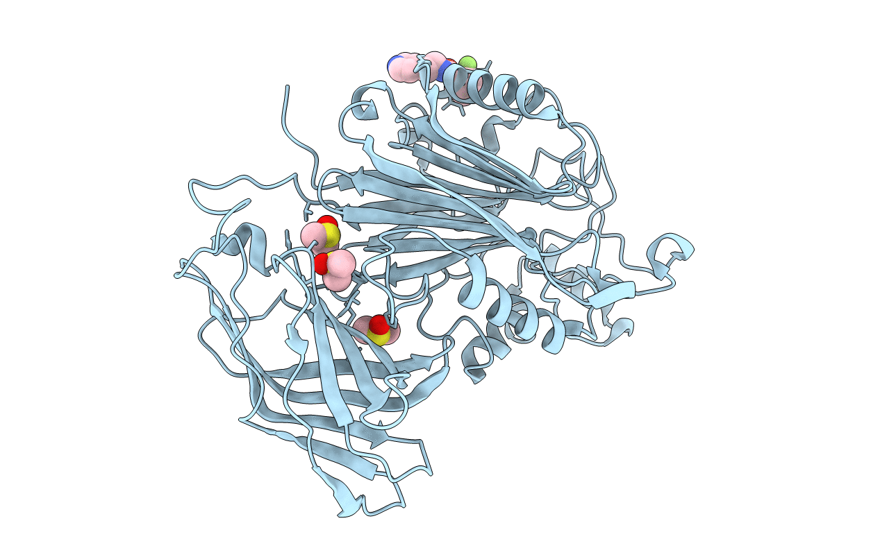 5RWN image