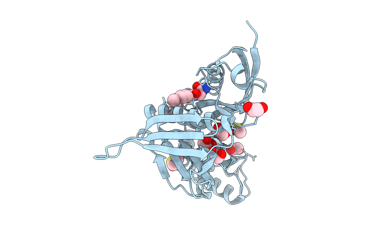 5RZP image