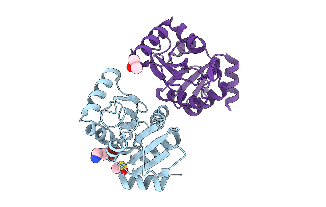 5S1C image