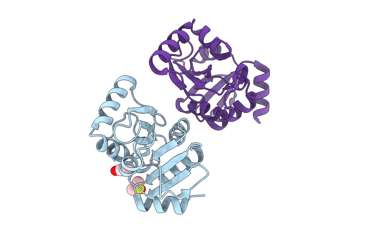 5S4B image