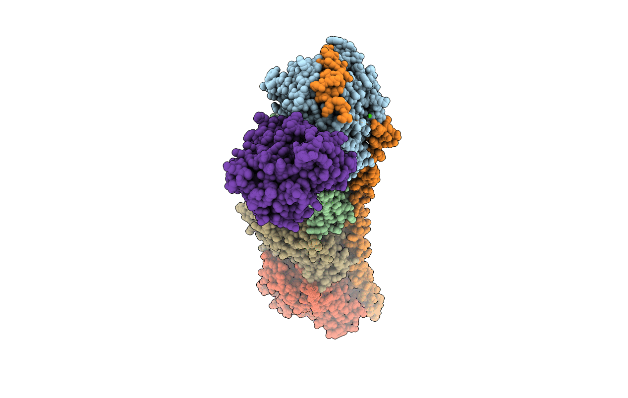 5S56 image