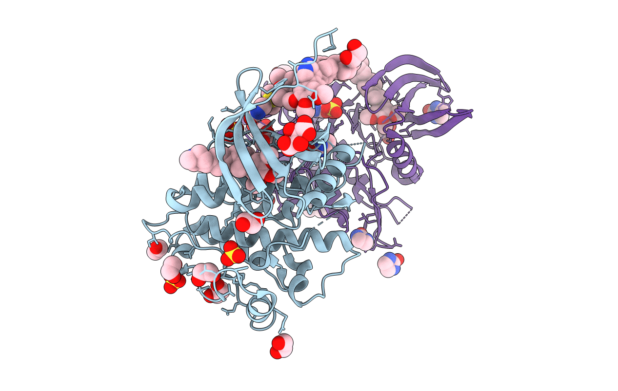 5S81 image