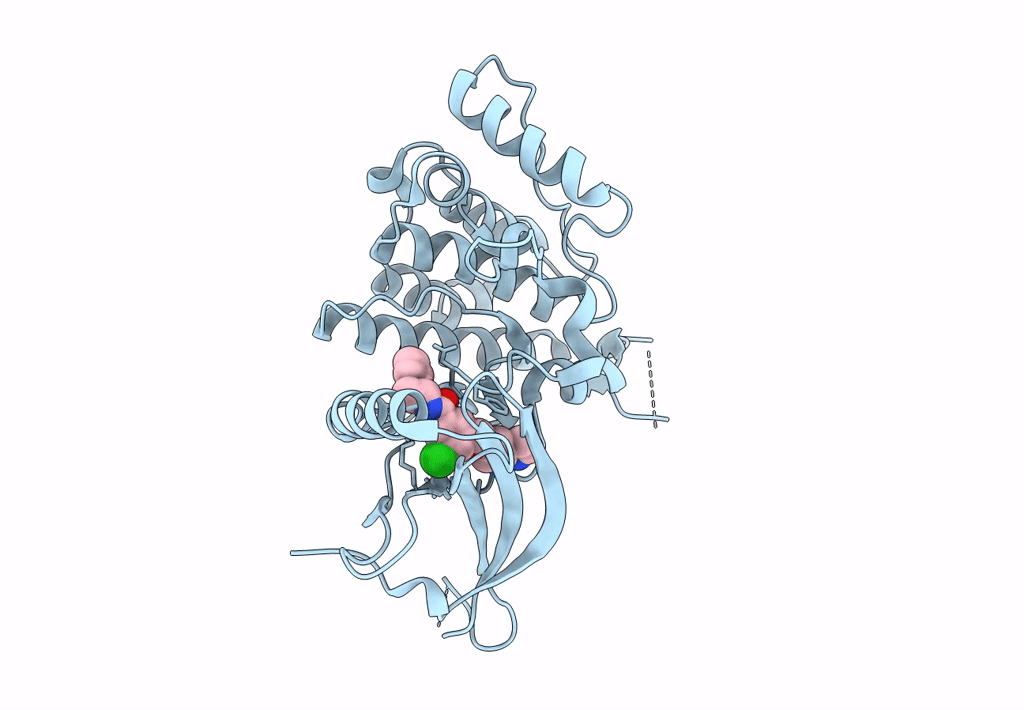 5SB2 image