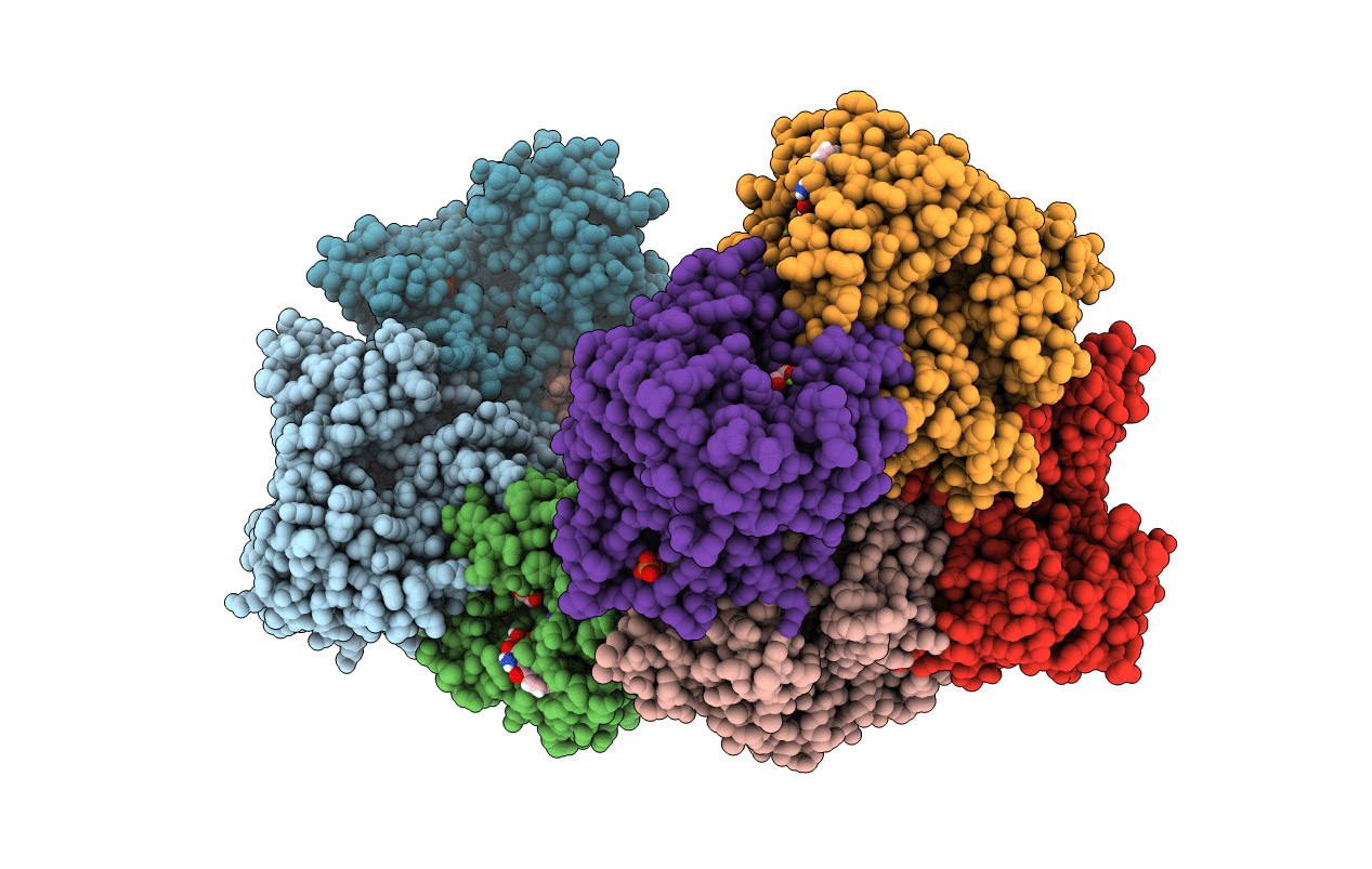 5SCC image