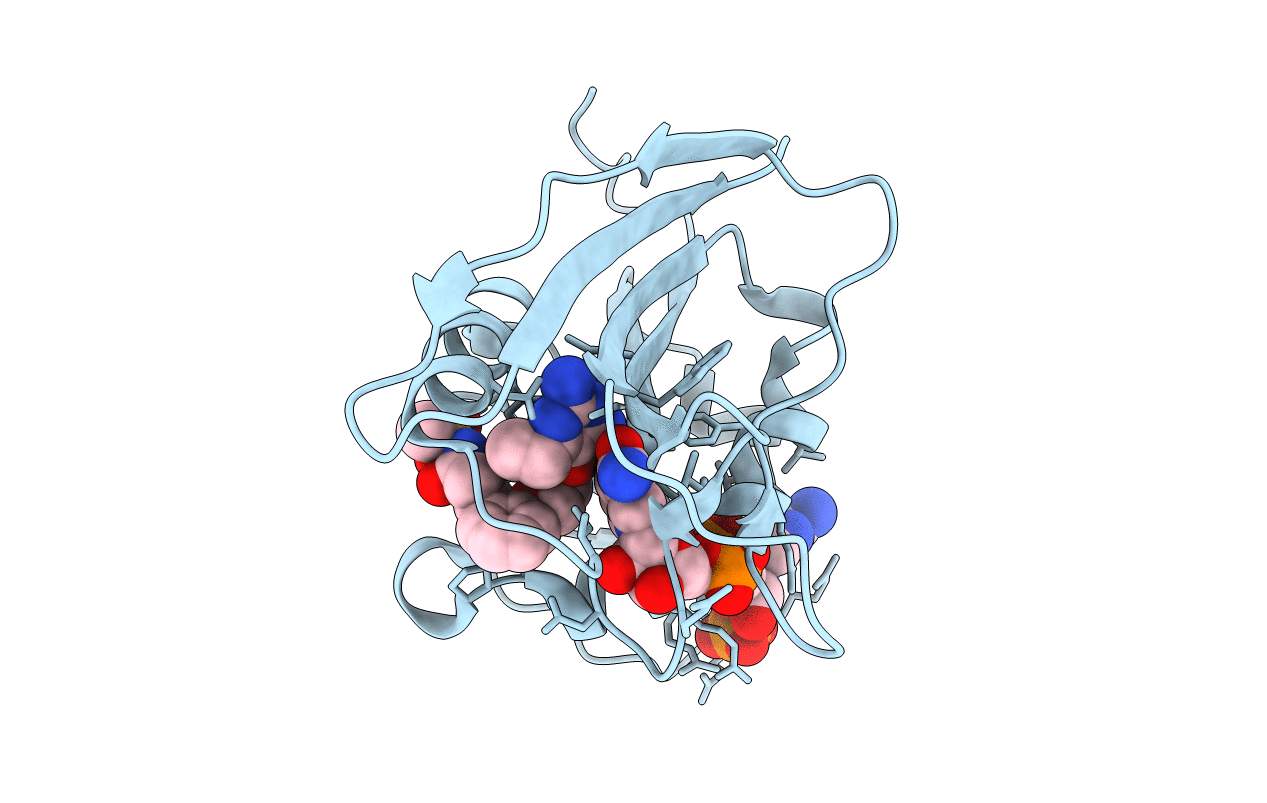 5SCN image