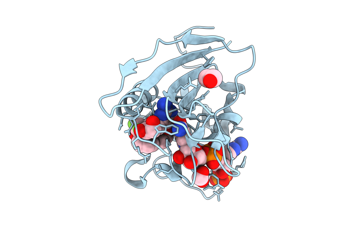 5SD1 image