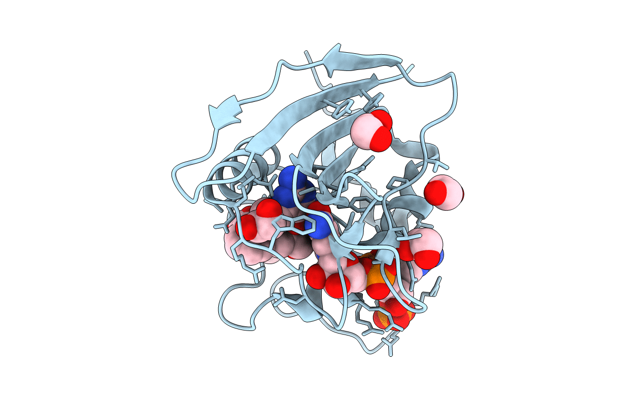 5SD3 image