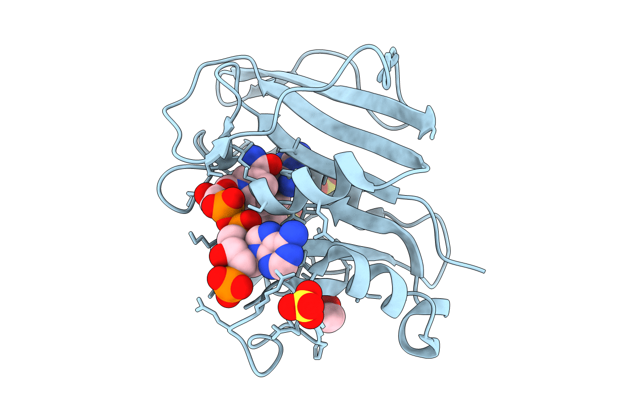 5SD6 image