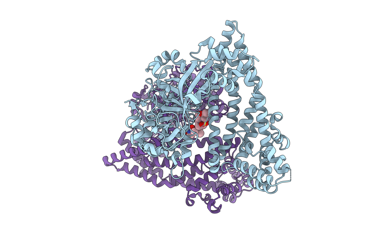 5SDK image
