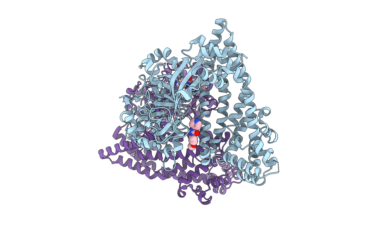 5SDL image
