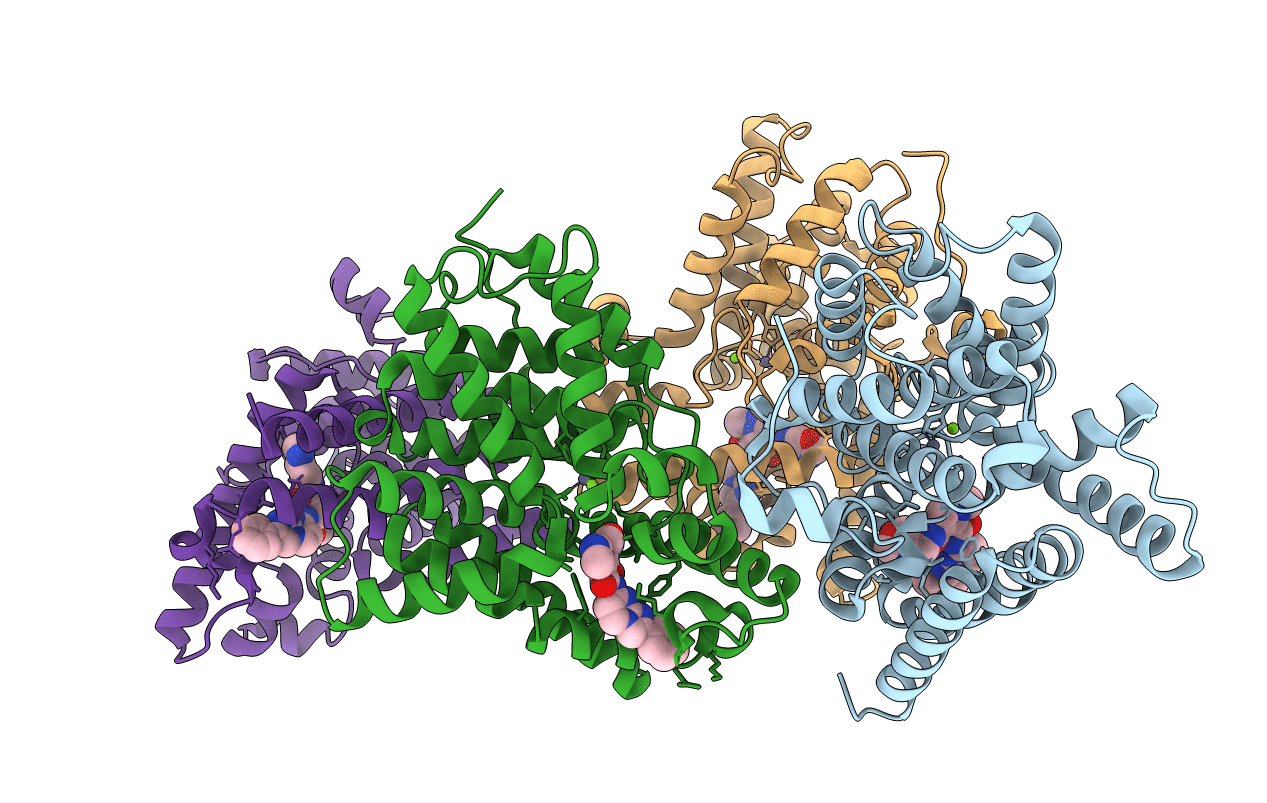 5SDV image