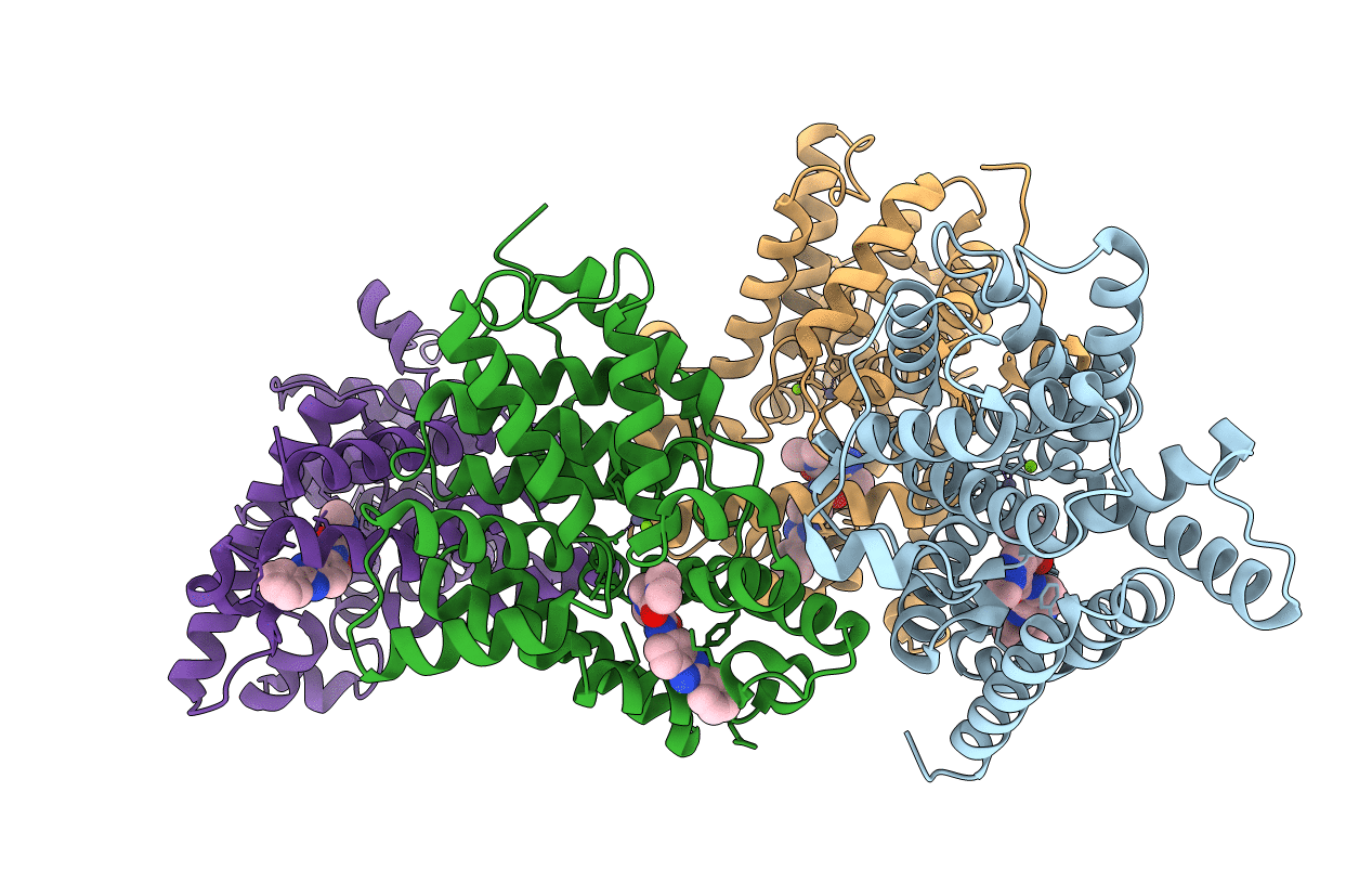 5SDW image