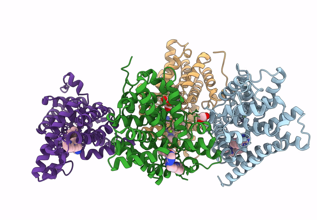 5SGI image