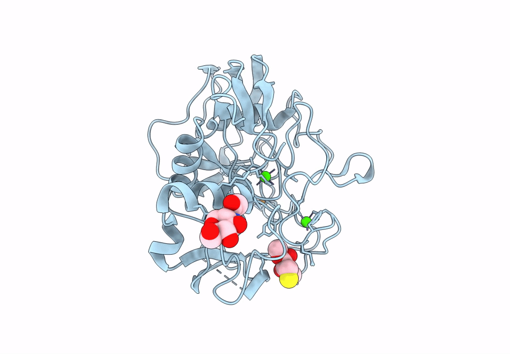 5SSY image