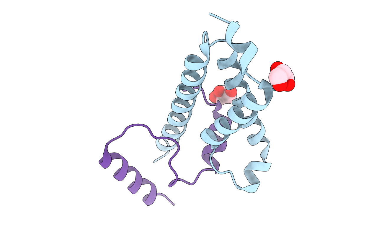 5SVH image