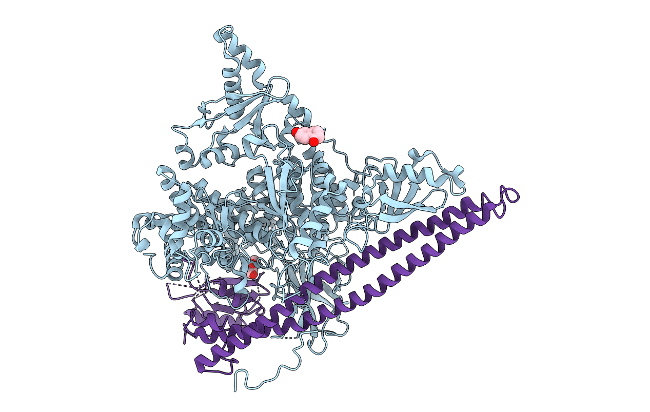 5SWR image