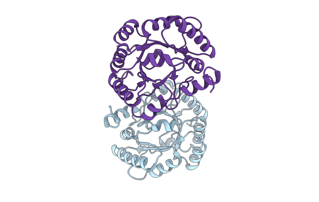 5SWU image