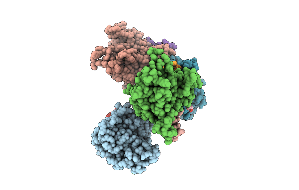 5SWW image