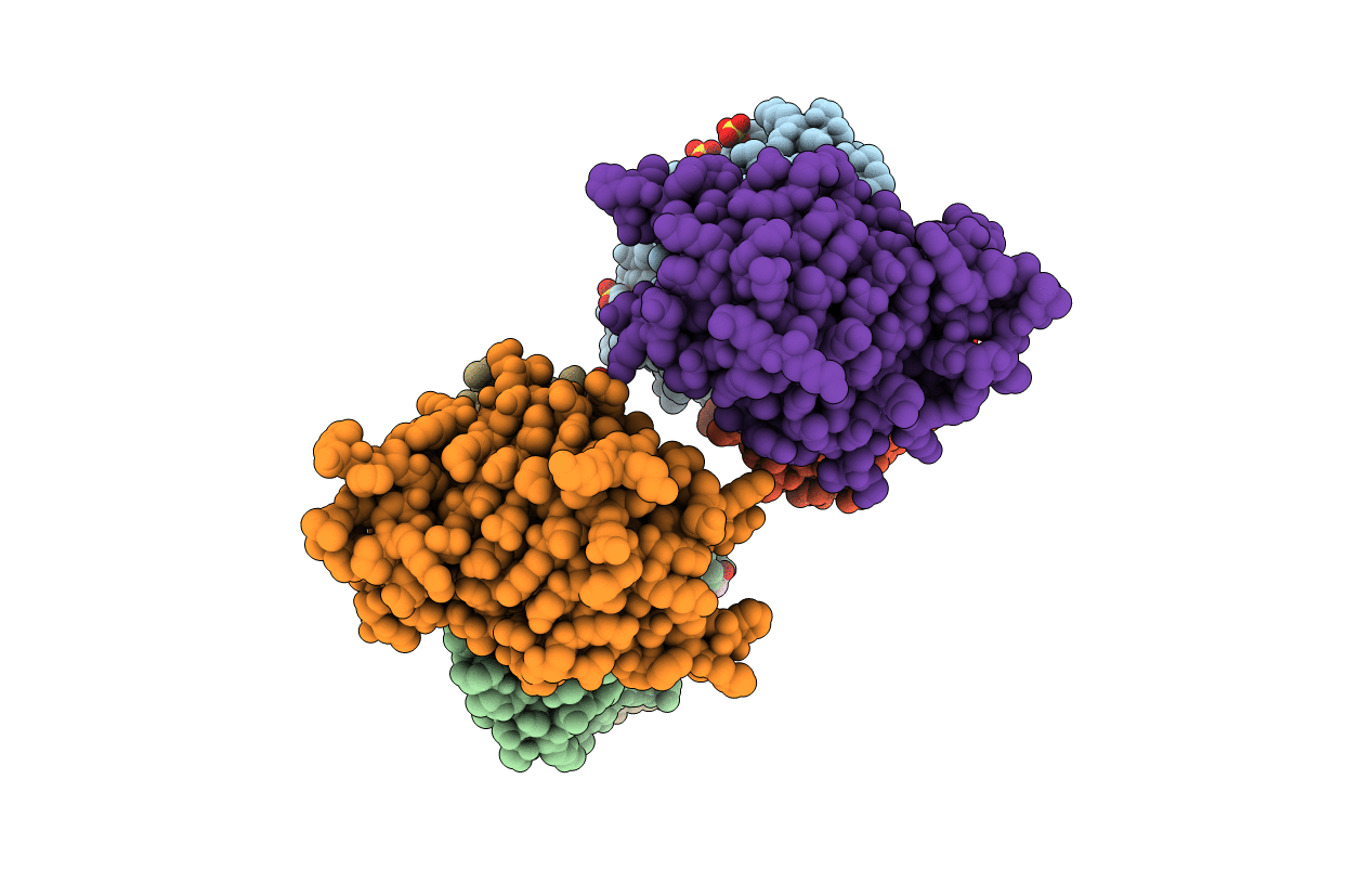5SX5 image