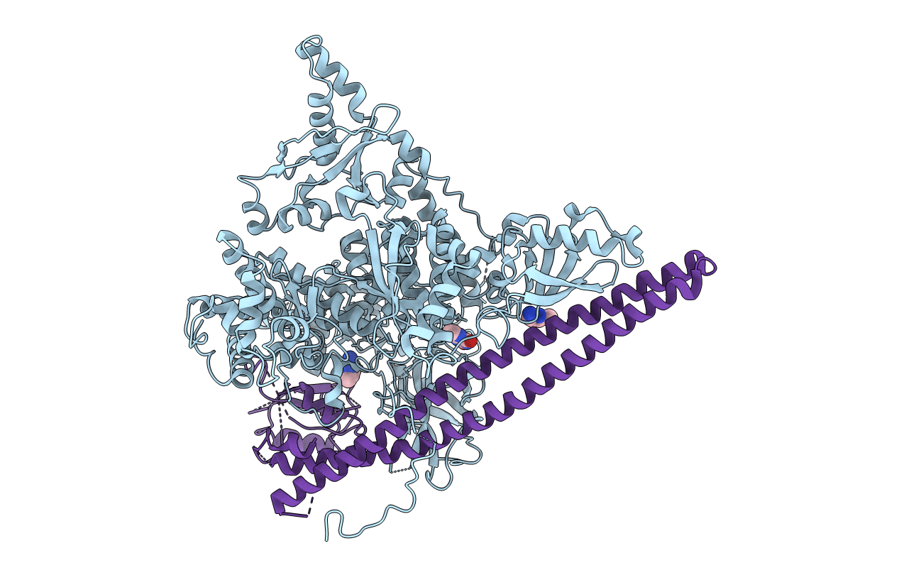 5SX8 image