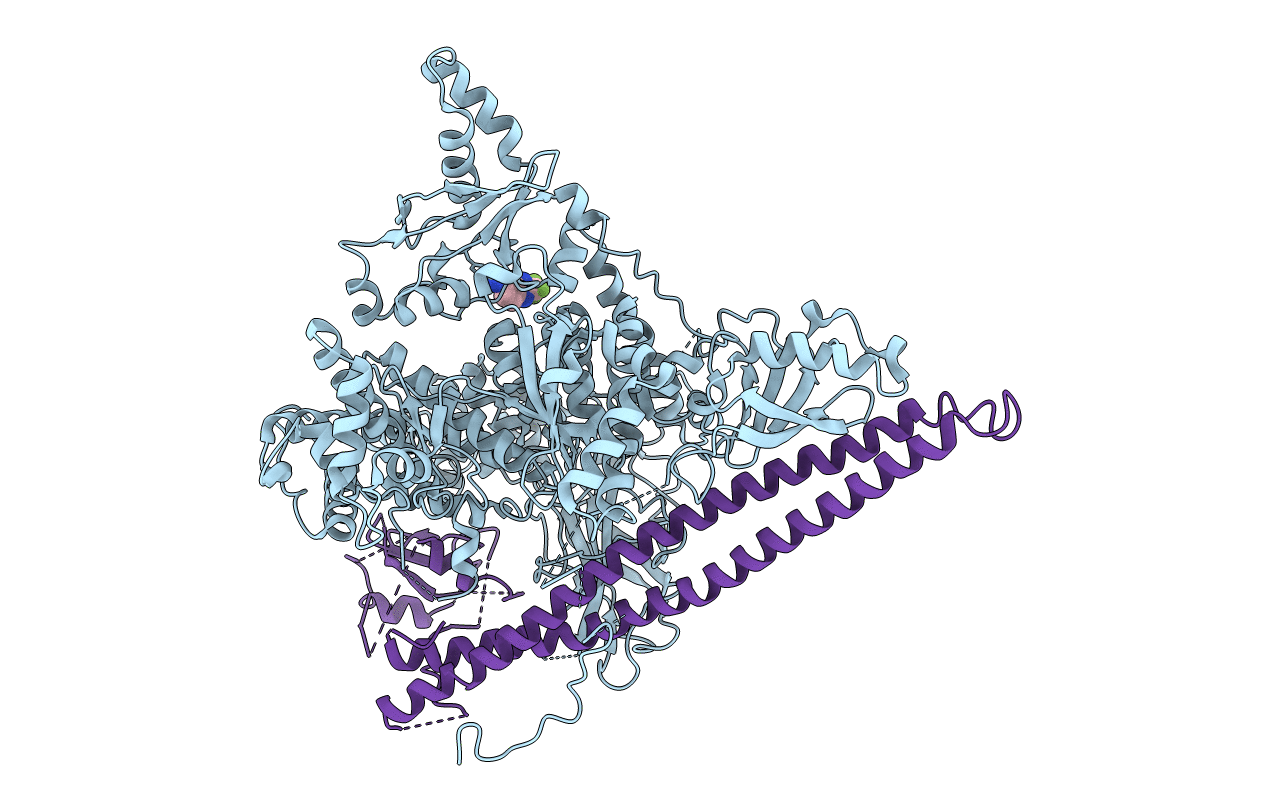 5SXA image