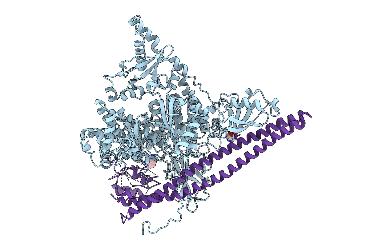 5SXE image