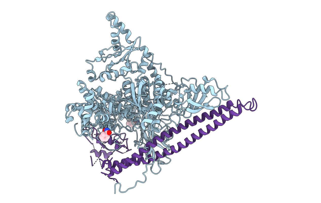 5SXJ image
