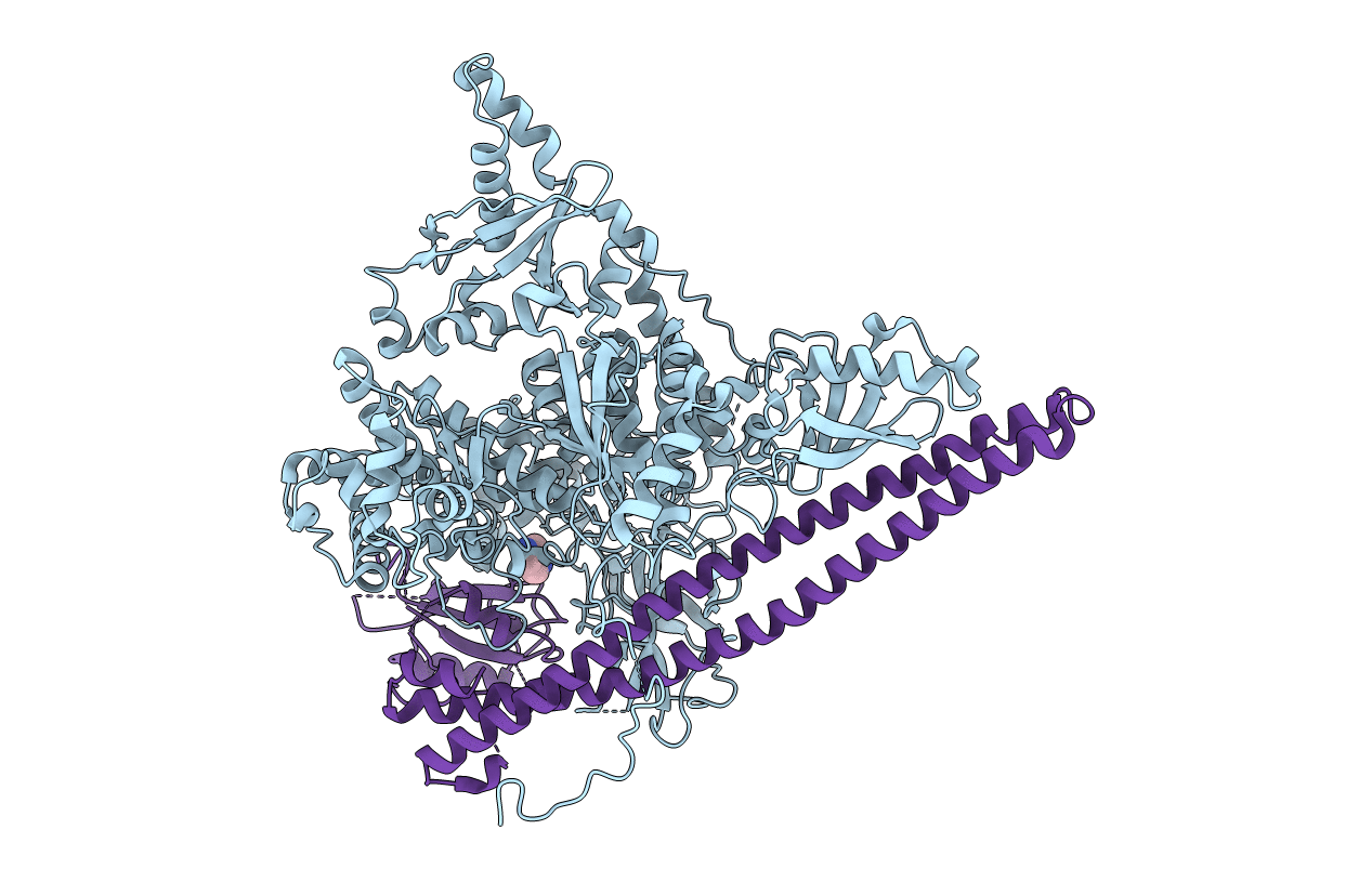 5SXK image