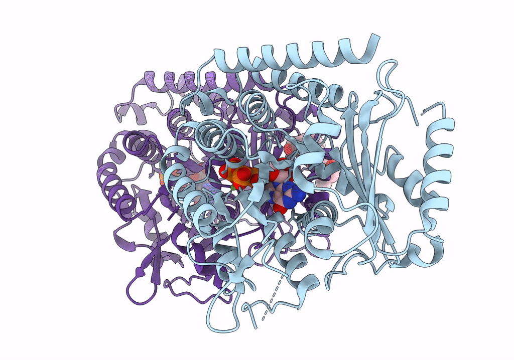 5SYC image