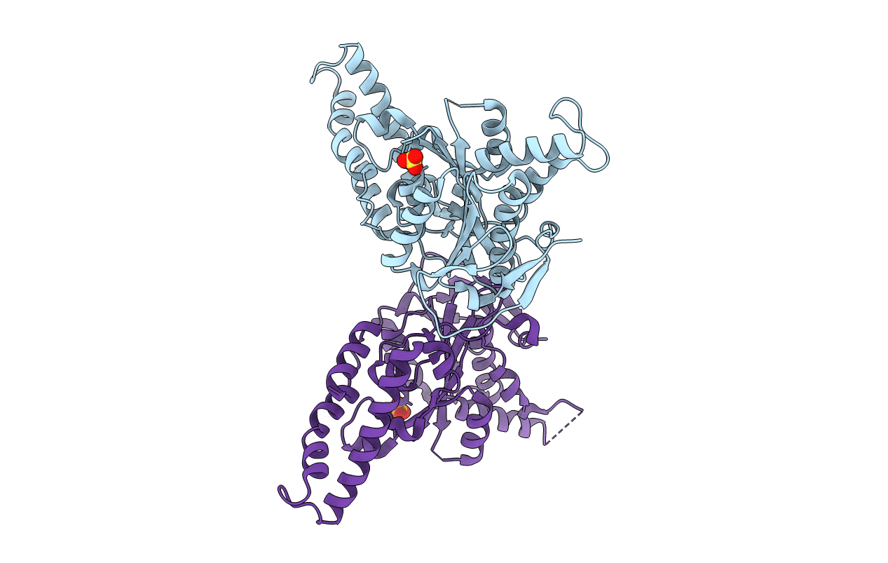 5SYP image