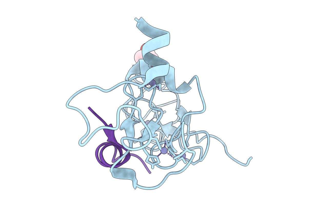5SZB image