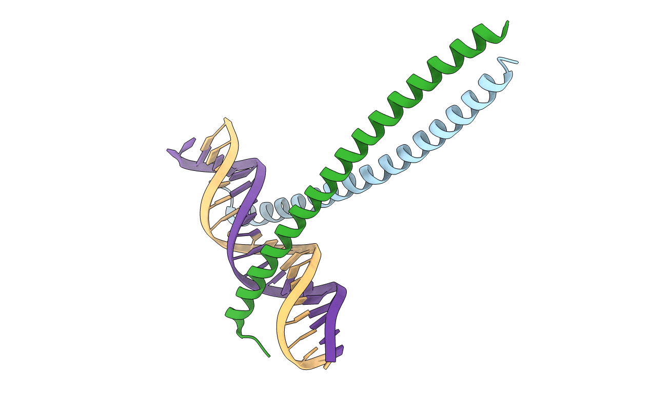 5T01 image