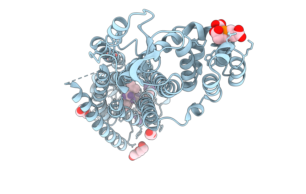 5T04 image