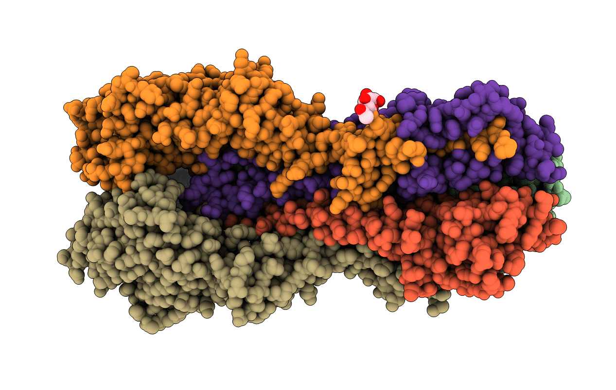 5T08 image