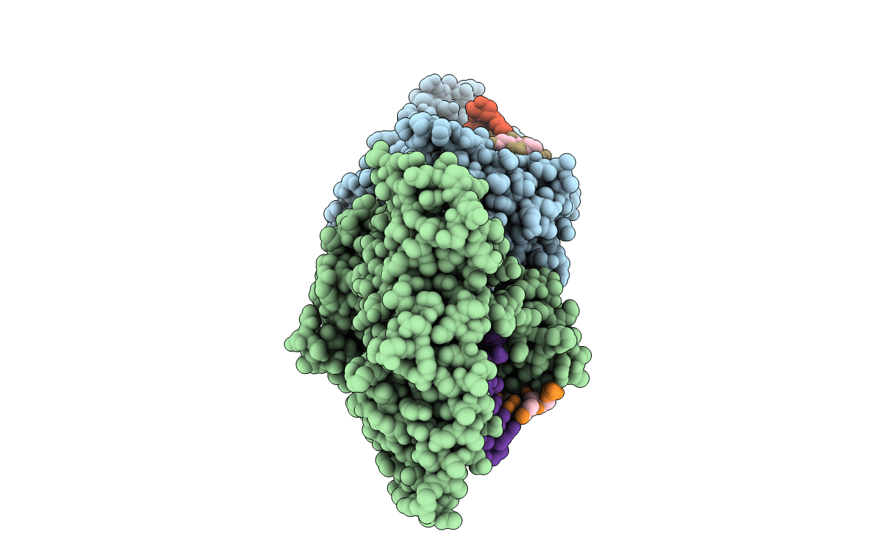 5T14 image