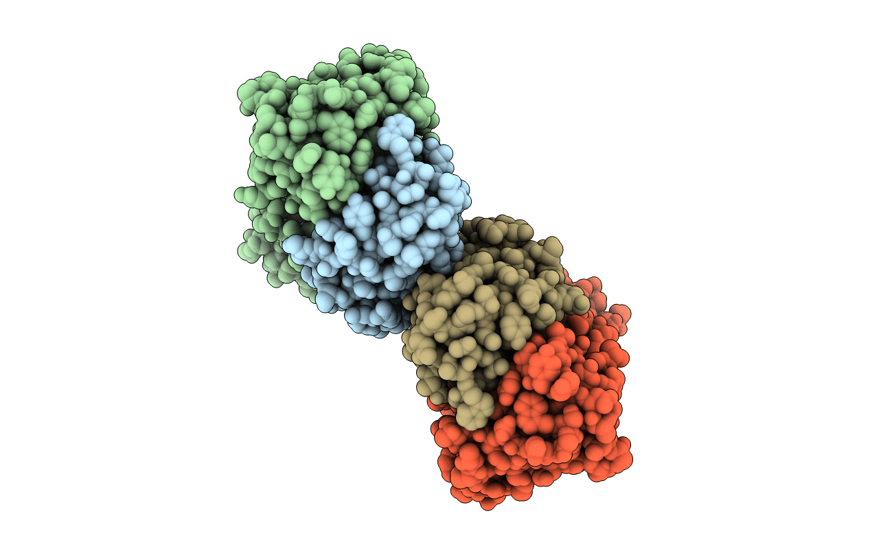 5T1K image