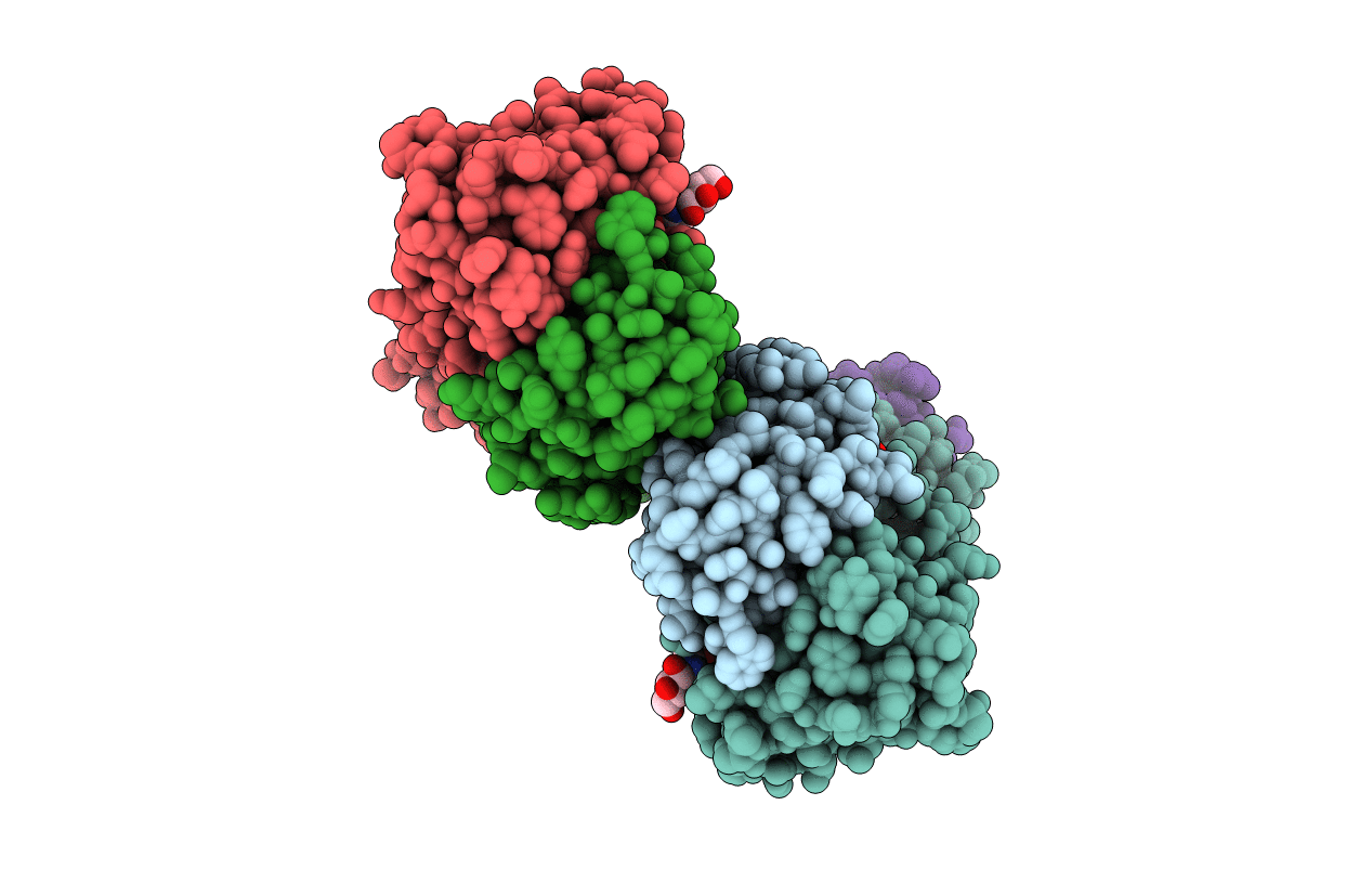 5T1M image