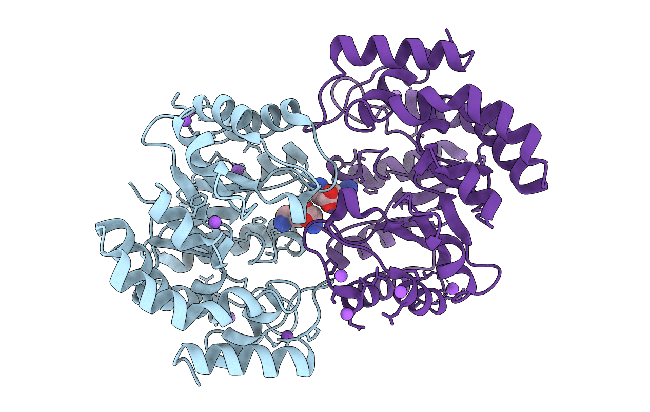 5T25 image