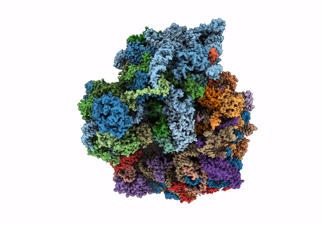 5T2A image